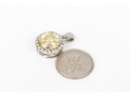 Sterling Silver Brilliant Champagne Cz And White Cz Halo Pendant