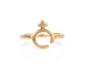 14k Yellow Gold Women's Icon Ring, Size 6