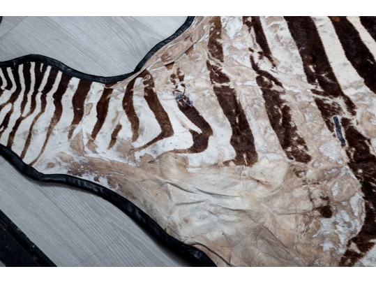 Zebra Hide Rug (6'6