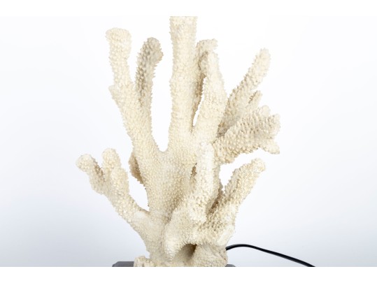 Stag Horn Coral Table Lamp