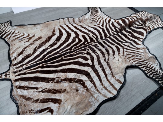 Zebra Hide Rug (6'6