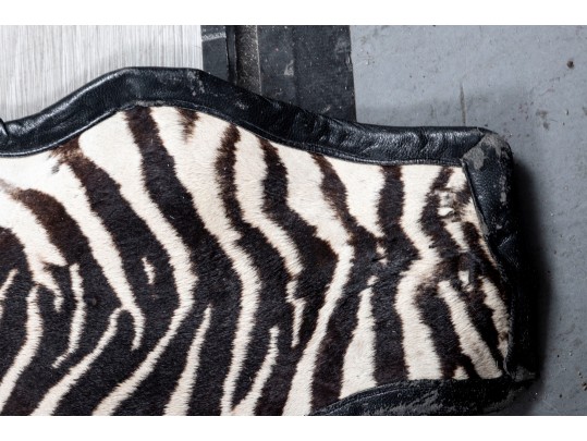Zebra Hide Rug (6'6