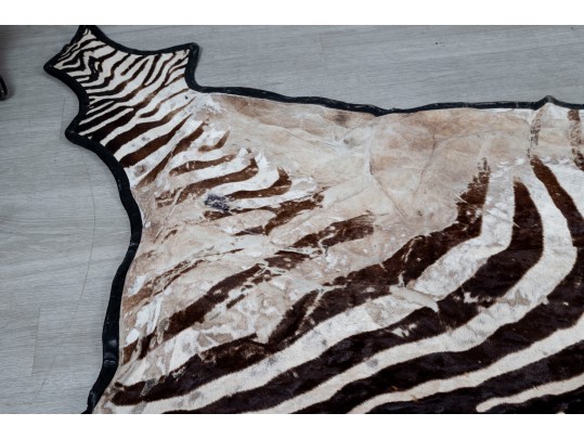 Zebra Hide Rug (6'6