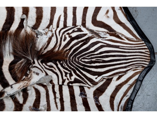 Zebra Hide Rug (6'6