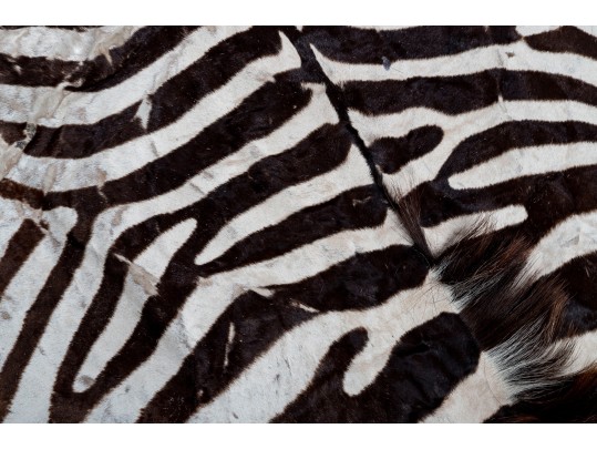 Zebra Hide Rug (6'6