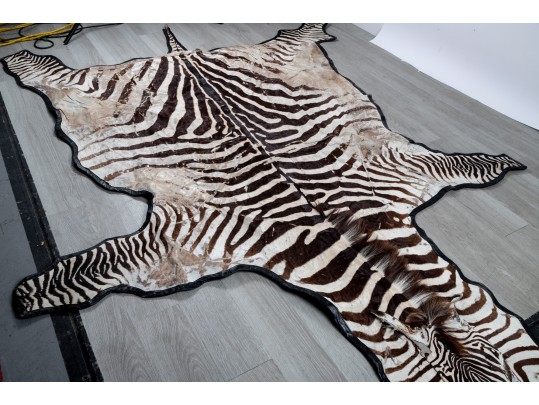 Zebra Hide Rug (6'6