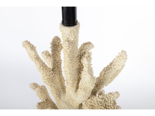 Stag Horn Coral Table Lamp