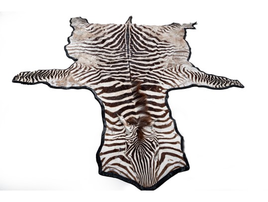 Zebra Hide Rug (6'6