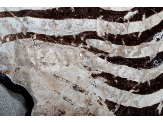 Zebra Hide Rug (6'6