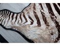 Zebra Hide Rug (6'6