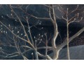 Robert Bateman 