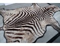 Zebra Hide Rug (6'6