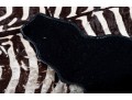 Zebra Hide Rug (6'6