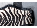 Zebra Hide Rug (6'6