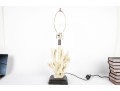 Stag Horn Coral Table Lamp