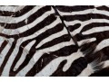 Zebra Hide Rug (6'6