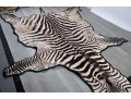 Zebra Hide Rug (6'6