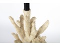 Stag Horn Coral Table Lamp