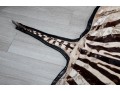 Zebra Hide Rug (6'6