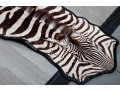 Zebra Hide Rug (6'6