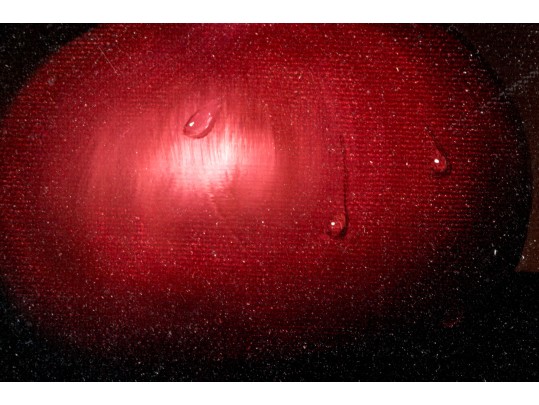 Al Jackson (Am. 1940-2001) Oil On Canvas, Red Onions