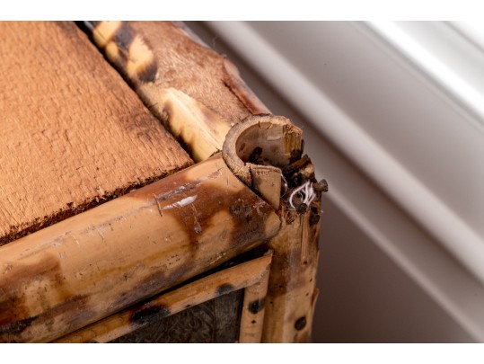 Antique 19th C. Bamboo Framed Glass Paneled Book Case