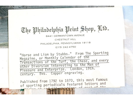 Collection Of Six Italian Hand-colored Lithographs