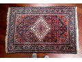 Hand-knotted Wool Accent Carpet 3'-7 1/2