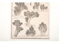 Collection Of Four Katsushika Hokusai (Japanese, 1760-1849) Woodblock Prints