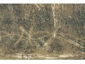 Antoni Tapies (Catalan, 1923-2012) Lithograph