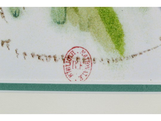 After Raoul Dufy (French, 1877-1953) Bunch Of Daisies And Bouquet, Pour Un Herbier, Colette, Prints