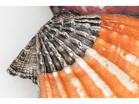 Group Of Four Fine Silverplate Mounted Shell Servers