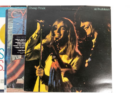 Vintage Vinyl Record Albums