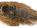 African Wood, Fiber And Paint Finished Mask, 20th C. 