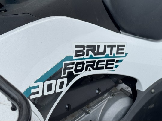 Kawasaki Brute Force 300 (Retail $5,199)