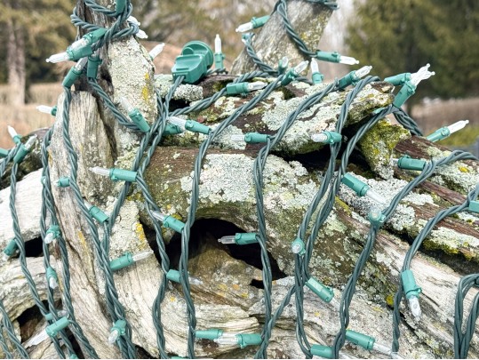 Life Size Handcrafted Driftwood Horse Sculpture