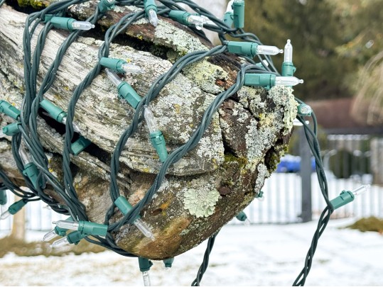 Life Size Handcrafted Driftwood Horse Sculpture