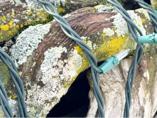 Life Size Handcrafted Driftwood Horse Sculpture