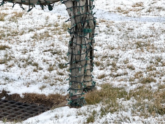 Life Size Handcrafted Driftwood Horse Sculpture