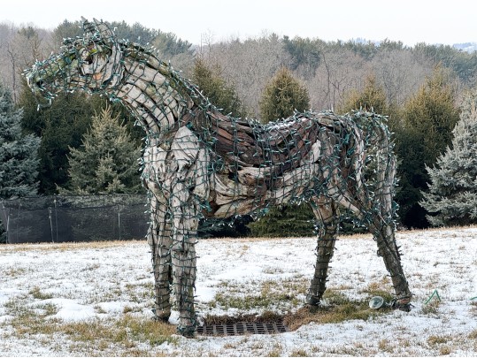 Life Size Handcrafted Driftwood Horse Sculpture