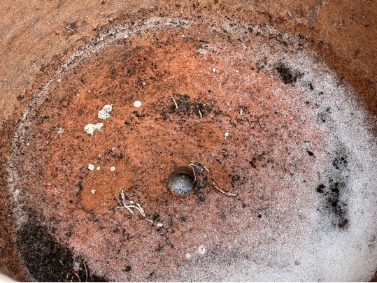 Stylish Glazed Ceramic Jardinniere