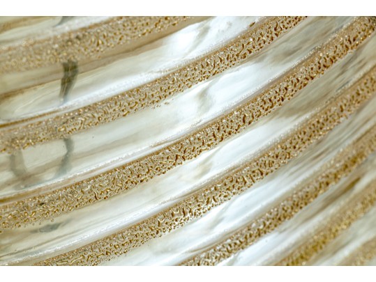 Chic Oblong Ribbed Glass Table Lamp