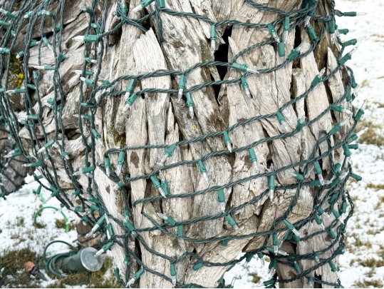 Life Size Handcrafted Driftwood Horse Sculpture