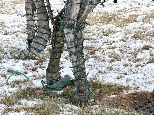 Life Size Handcrafted Driftwood Horse Sculpture