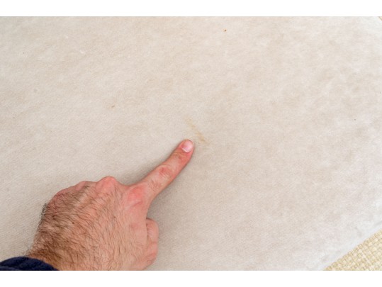 Lovely Transitional Style Velvet Upholstered Bench