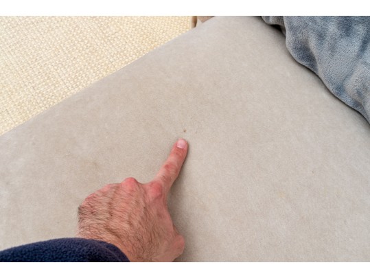 Lovely Transitional Style Velvet Upholstered Bench