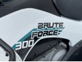 Kawasaki Brute Force 300 (Retail $5,199)