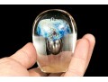 Denise Bélanger Taylor (Canadian-New Zealander, B. 1952) Art Glass Paperweight