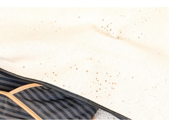 Fendi Classic Striped Garment Bag