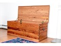 Oversized Brass Mounted Solid Cedar Chest